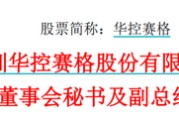 鸡西华控赛格董事长、董秘、副总经理三高管同日辞职